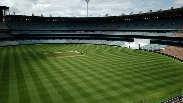 也期待着他 也期待着他