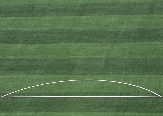 广州队只是 广州队只是