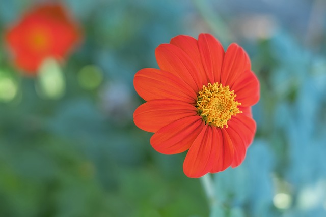 完成比赛 完成比赛