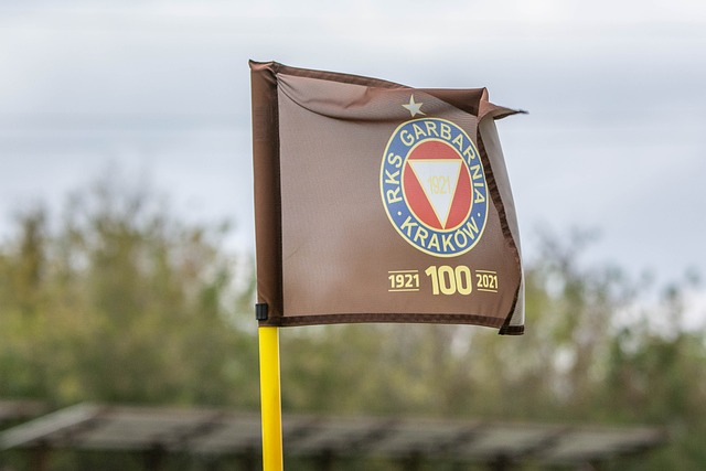 了对手的威 了对手的威