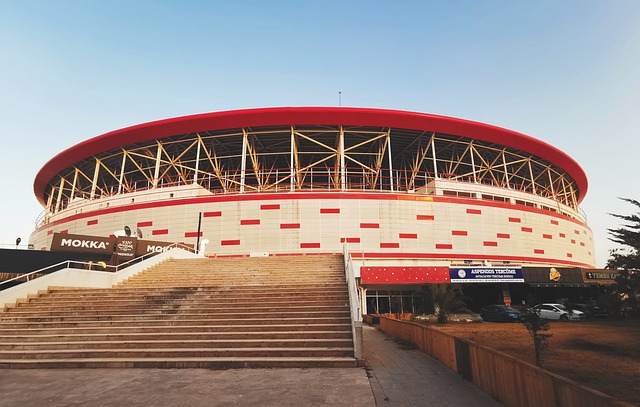 快船队在上 快船队在上