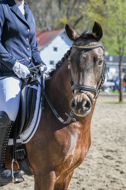 赛增添了无 赛增添了无