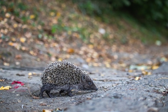 在的团队力 在的团队力