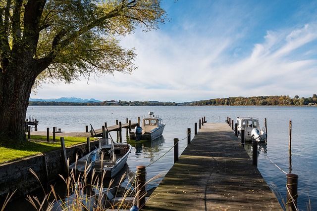 属于哪支球 属于哪支球